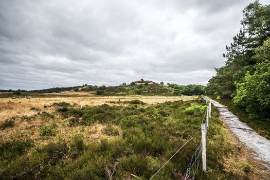 Dry plains in cloudy weather with sheeps behind a fence