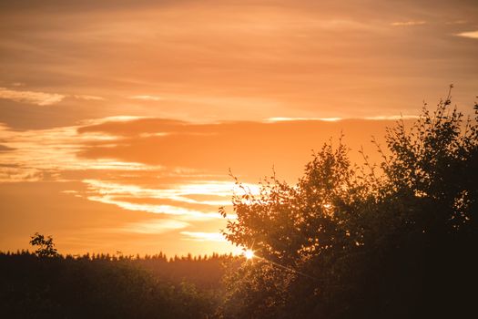 Sunset over a forest with tree silhouettes in the background