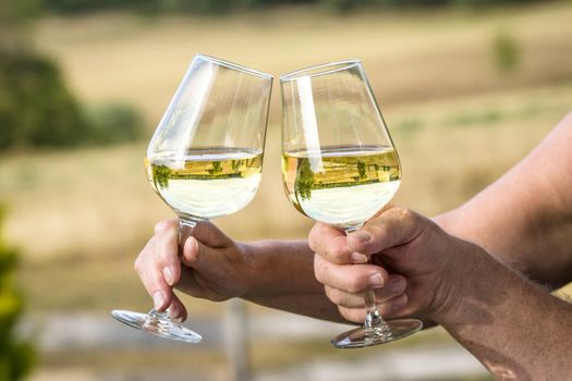 Wine glasses with reflections of beautiful nature saying cheers with white wine