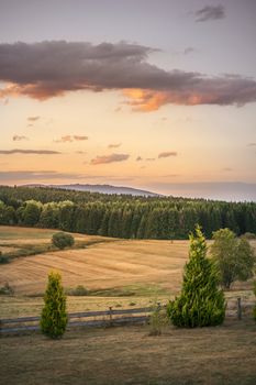 Rural countryside landscape in the sunset with dry fields and green pine forest