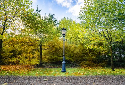 Autumn scenery with a retro street lamp in a park with colorful leaves in the fall