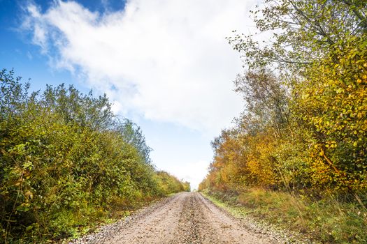 Autumn colors on trees by the roadside of a dirt trail in the fall under a blue sky with white clouds