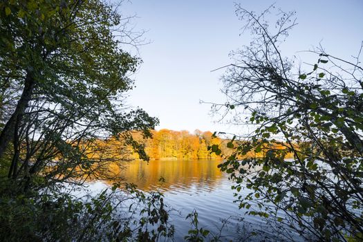 View over a lake in the fall with trees in autumn colors on the other side