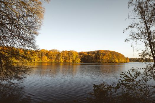 Lake in the fall surrounded by trees in colorful autumn colors