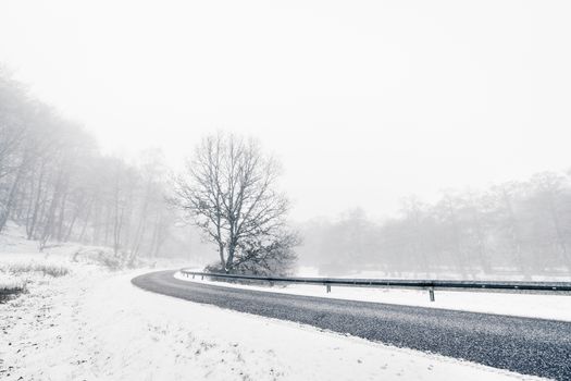Curvy highway in a misty winter landscape with a tree and snow by the roadside