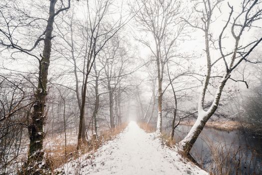 Snowy trail in a misty forest with a river on the right side in the winter