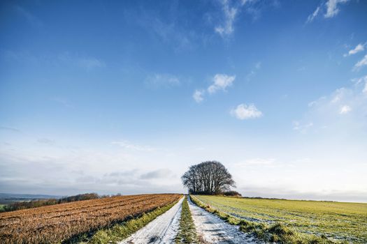 Snow on a countryside road with colorful fields on both sides under a blue sky