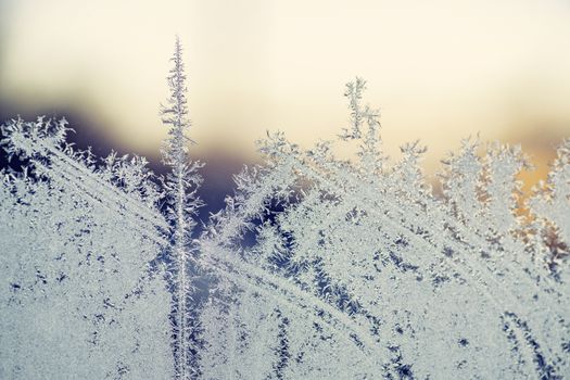 Morning frost on a window in the sunrise an early winter morning in January