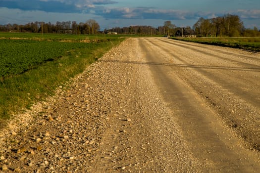 Summer landscape with empty road, field and blue sky.. Rural road, cornfield, wood and cloudy blue sky. Classic rural landscape in Latvia.
