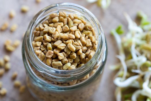 Dry fenugreek seeds in a glass jar, with dry and sprouted fenugreek in the background