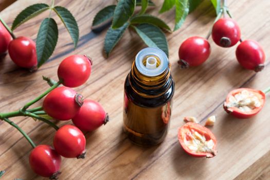 A bottle of rose hip seed oil on a wooden table, with fresh rose hips in the background