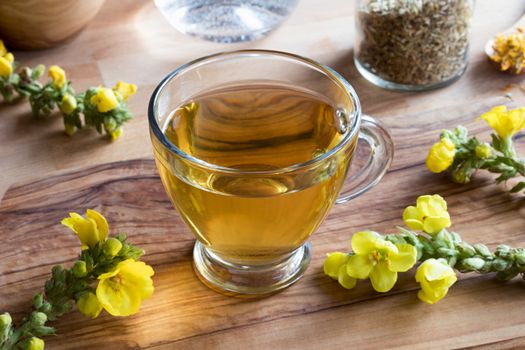 A cup of mullein tea with fresh mullein flowers in the background