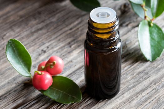 A dark bottle of wintergreen essential oil on old wood, with wintergreen berries and leaves in the background