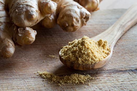 Ground ginger on a wooden spoon, with fresh ginger root in the background