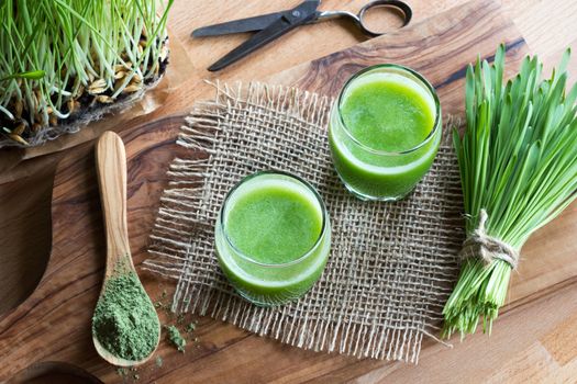 Two glasses of green juice with freshly harvested barley grass in the background