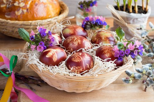 Easter eggs dyed with onion peels with a pattern of fresh herbs in a wicker basket, with lungwort flowers and pussy willow