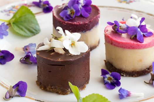 Raw vegan desserts on a plate with fresh violet and lungwort flowers