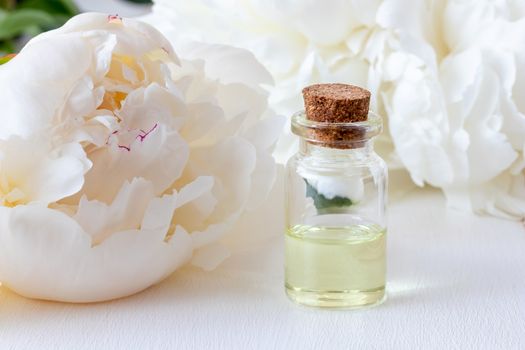 A transparent bottle of essential oil with fresh white peony flowers