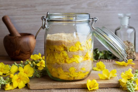 A jar filled with fresh denseflower mullein flowers and cane sugar, to prepare homemade herbal syrup against cough