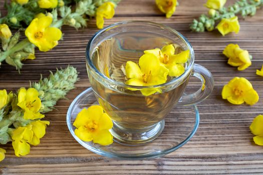 A cup of herbal tea with fresh mullein flowers
