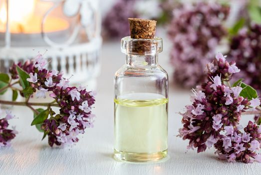 A bottle of essential oil with fresh blooming oregano twigs