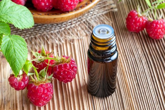 A bottle of raspberry seed oil with fresh fruit