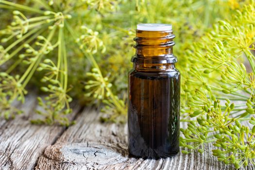 A bottle of dill seed oil with fresh blooming Anethum graveolens twigs