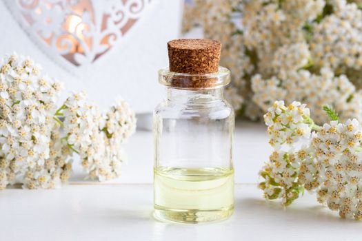 A bottle of essential oil with fresh blooming yarrow twigs