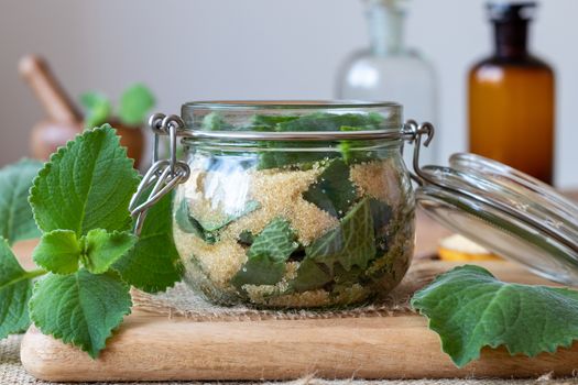 Preparation of a homemade herbal syrup against common cold from silver spurflower and cane sugar