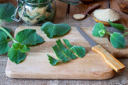 Preparation of a herbal syrup against common cold from silver spurflower and cane sugar