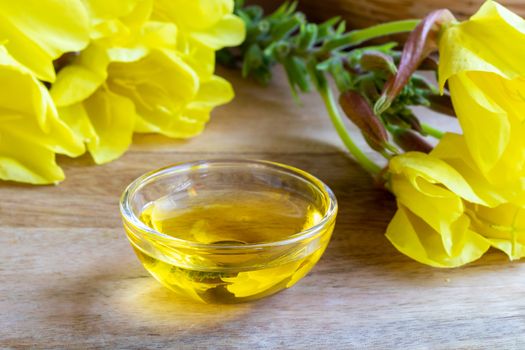 A bowl of evening primrose oil with fresh blooming plant 