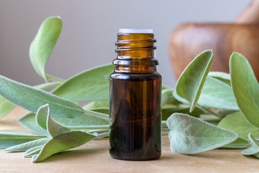 A bottle of essential oil with fresh sage twigs