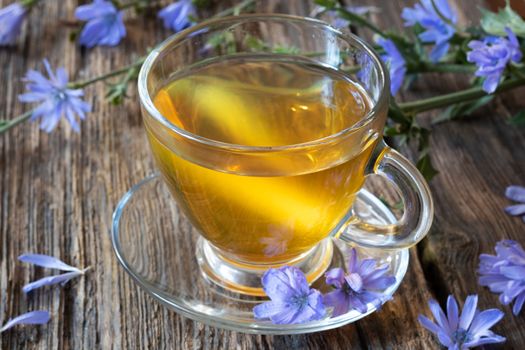 A cup of chicory tea with fresh flowers