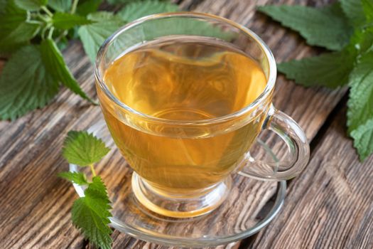 A cup of herbal tea with fresh stinging nettles on a rustic background