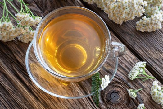 A cup of herbal tea with fresh blooming yarrow, top view