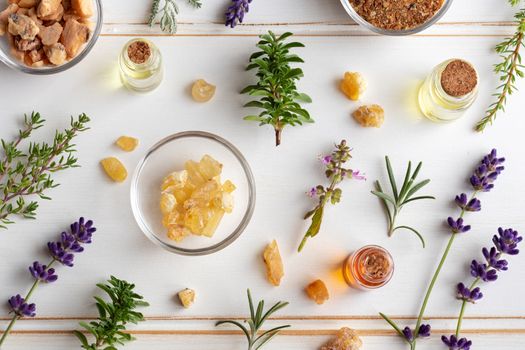 Bottles of essential oil with frankincense, tulsi, mountain savory and other herbs on a white background