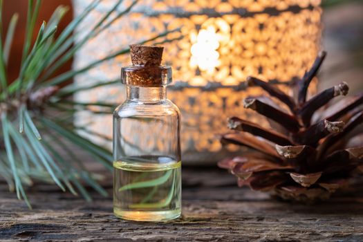 A bottle of essential oil with pine branches and cones in the background