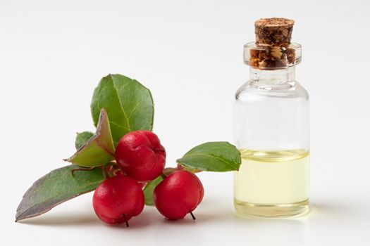 A bottle of essential oil with wintergreen leaves and berries on a white background