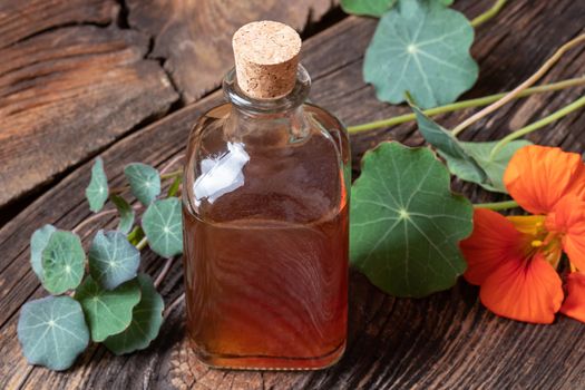 A bottle of nasturtium tincture with fresh Tropaeolum majus plant on a wooden table