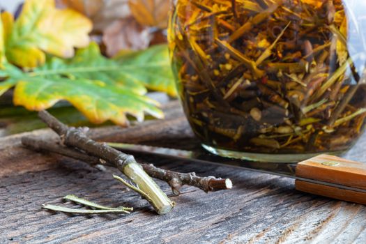 Preparation of a homemade herbal tincture from oak bark