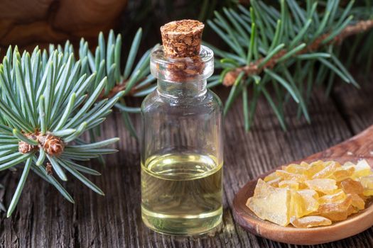 A bottle of essential oil with fresh spruce branches and resin