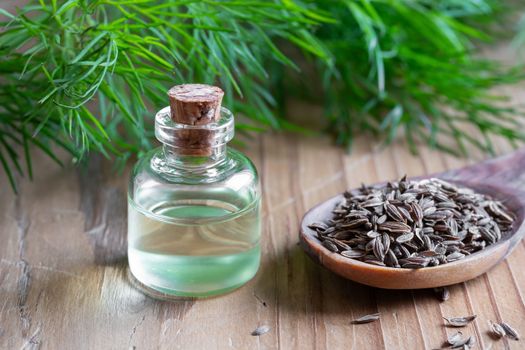 A bottle of essential oil with dill seeds on a spoon and fresh twigs