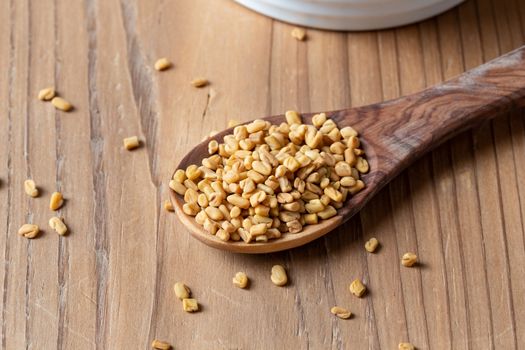 Fenugreek seeds on a wooden spoon