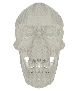 3d printed skull isolated on white background. 3D illustration