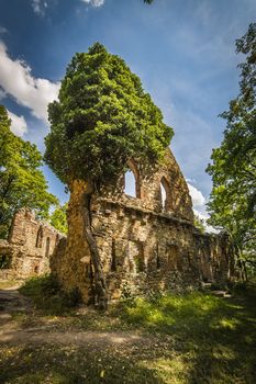 Ruins of old Ksiaz castle - Poland, lower Silesia
