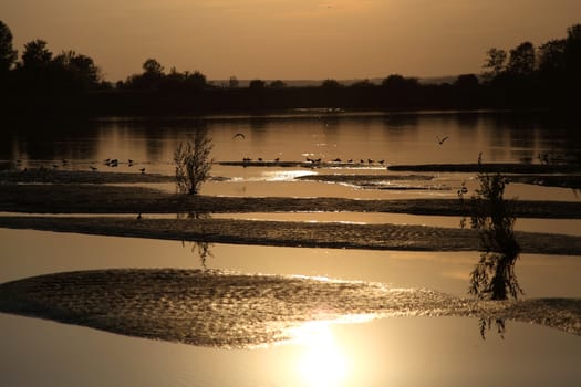 The sandy coast at the river at sunset