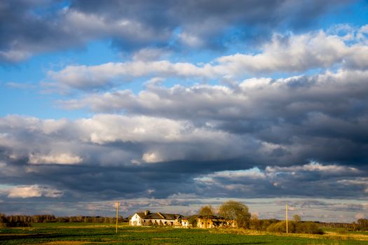 Green field with cereal and old farm house on the back, against a blue sky. Spring landscape with cornfield, wood and cloudy blue sky. Classic rural landscape in Latvia.