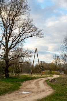 Summer landscape with empty rural road, tree and blue sky.  Classic rural landscape in Latvia. 