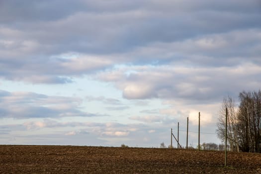 Plowed field and trees on the back, against a blue sky. Spring landscape with cornfield, wood and cloudy blue sky. Classic rural landscape in Latvia.