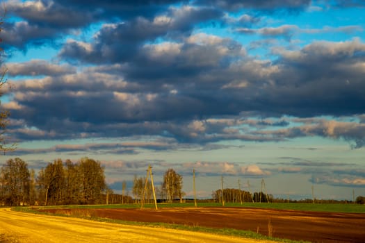 Green field with cereal and trees on the back, against a blue cloudy sky. Spring landscape with cornfield, wood and cloudy blue sky. Classic rural landscape in Latvia.